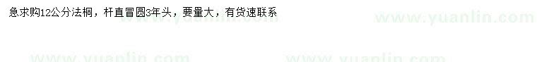 求購12公分法桐