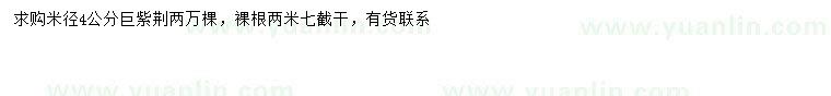 求購米徑4公分巨紫荊
