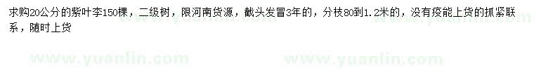 求購(gòu)20公分紫葉李