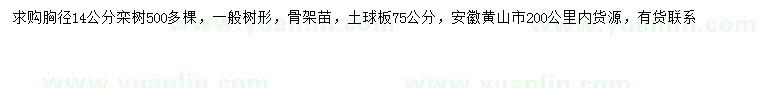 求購胸徑14公分欒樹(shù)