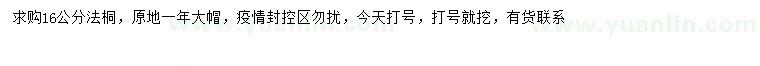 求購16公分法桐