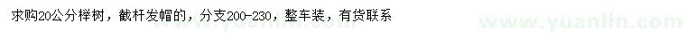 求購20公分櫸樹(shù)