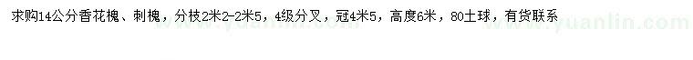 求購(gòu)14公分香花槐、刺槐