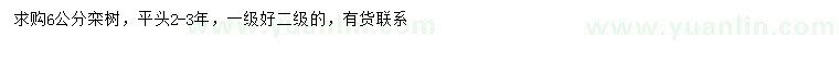 求購(gòu)6公分欒樹(shù)