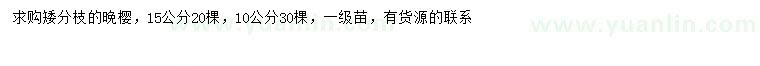 求購(gòu)10、15公分晚櫻