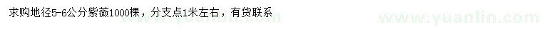 求購地徑5-6公分紫薇