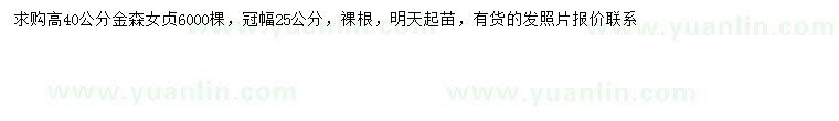 求購高40公分金森女貞