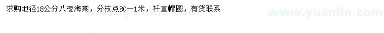 求購地徑18公分八棱海棠