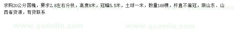 求購20公分國槐