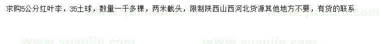 求購5公分紅葉李