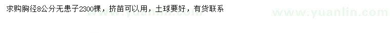 求購胸徑8公分無患子