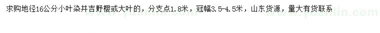 求購地徑16公分染井吉野櫻