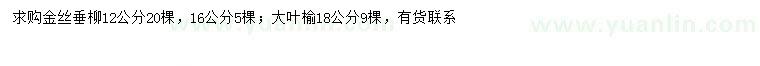 求購12、16公分金絲垂柳、18公分大葉榆