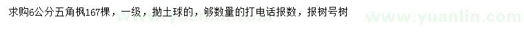 求購6公分五角楓