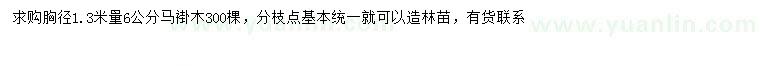 求購1.3米量6公分馬褂木