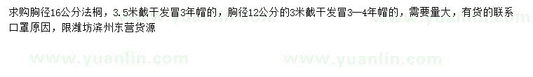 求購(gòu)胸徑12、16公分法桐