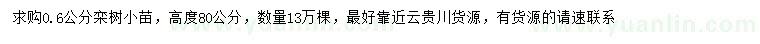 求購高80公分欒樹