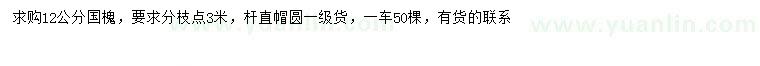 求購12公分國槐