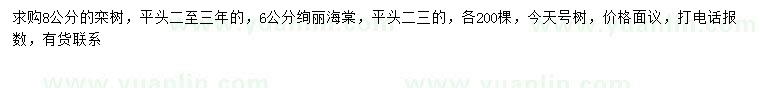 求購(gòu)6公分絢麗海棠、8公分欒樹(shù)