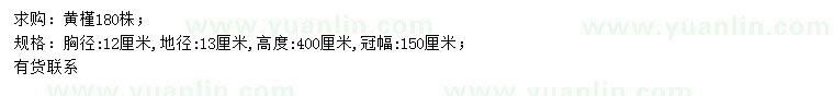 求購胸徑12公分黃槿