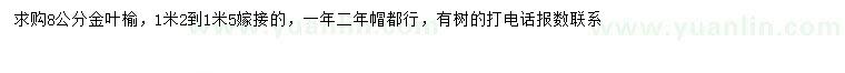 求購8公分金葉榆