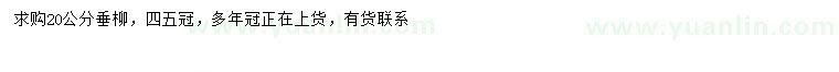 求購20公分垂柳