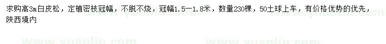 求購高3米白皮松