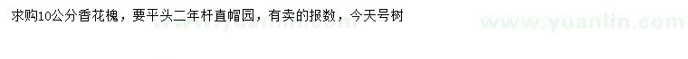 求購(gòu)10公分香花槐