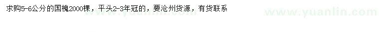 求購5-6公分國槐