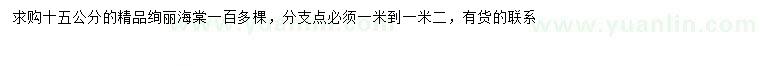 求購(gòu)15公分絢麗海棠