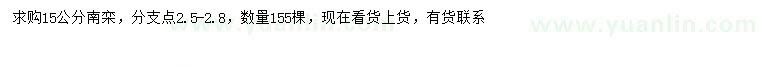 求購15公分南欒