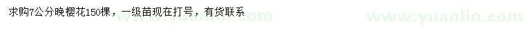 求購7公分晚櫻