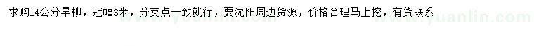 求購14公分旱柳