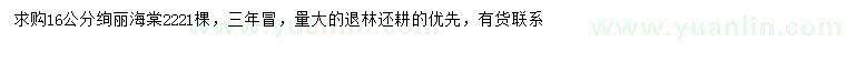 求購16公分絢麗海棠