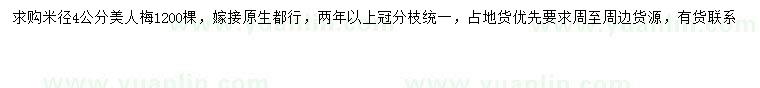 求購(gòu)米徑4公分美人梅