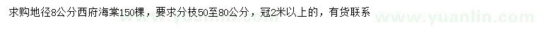 求購地徑8公分西府海棠