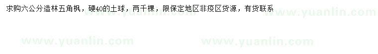 求購(gòu)6公分五角楓