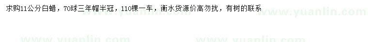 求購(gòu)11公分白蠟
