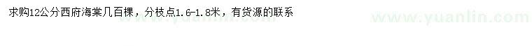 求購12公分西府海棠