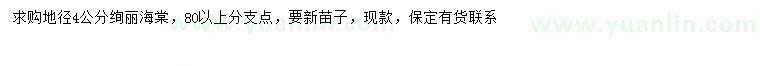 求購(gòu)地徑4公分絢麗海棠