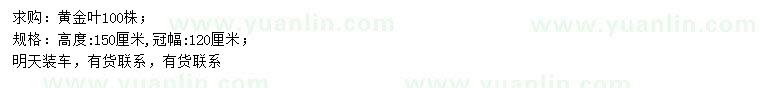 求購(gòu)高150公分黃金葉