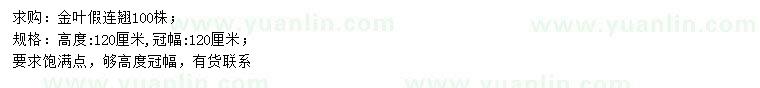 求購(gòu)高120公分金葉假連翹