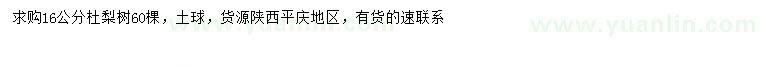 求購16公分杜梨樹