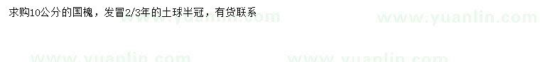 求購(gòu)10公分國(guó)槐
