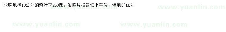 求購(gòu)地徑10公分紫葉李