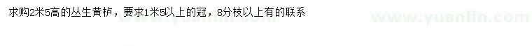 求購冠幅1.5米以上叢生黃櫨