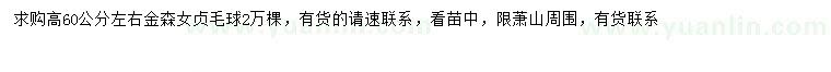求購高60公分左右金森女貞球