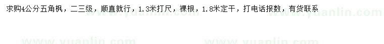 求購4公分五角楓