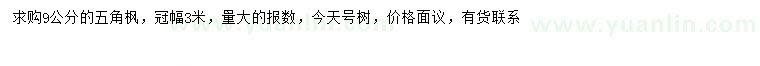 求購(gòu)9公分五角楓