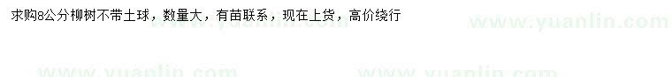 求購8公分柳樹